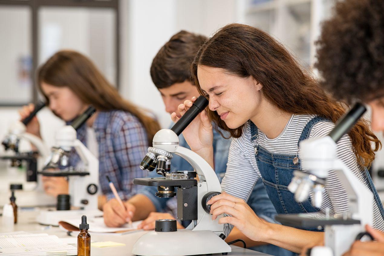 Jugendliche nutzen Mikroskope im Biologielabor – forschendes Lernen an einer Berlin Privatschule mit Schwerpunkt MINT