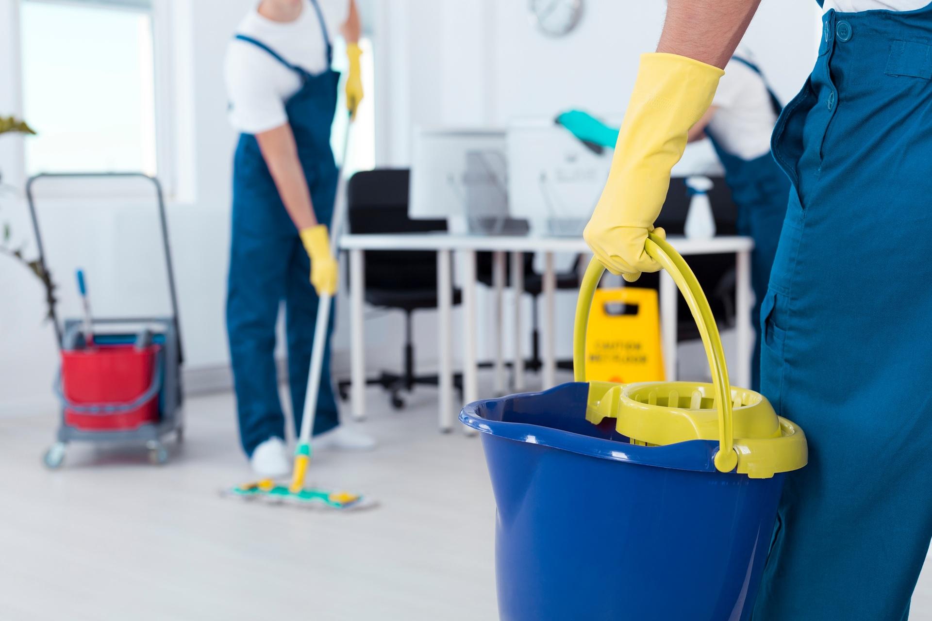 Reinigungsteam wischt Bürofußboden | Gartenbau Mannheim
