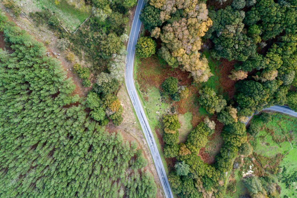 Vogelperspektive auf eine kurvige Landstrasse durch huegeliges Waldgelaende mit Boeschungen und Randbewuchs